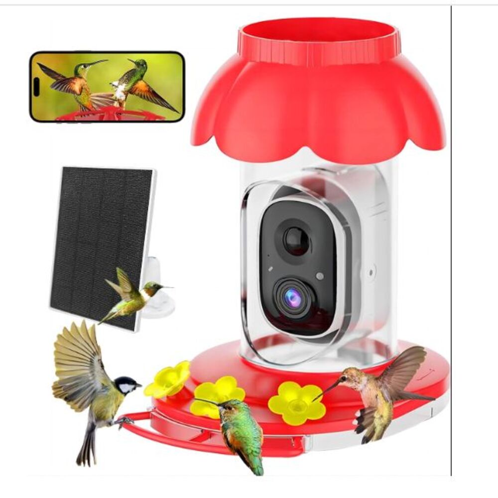 Smart Solar Hummingbird Feeder Camera AI Identify Auto Capture Bird Videos